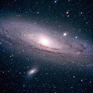 Meet your Posher, Nima